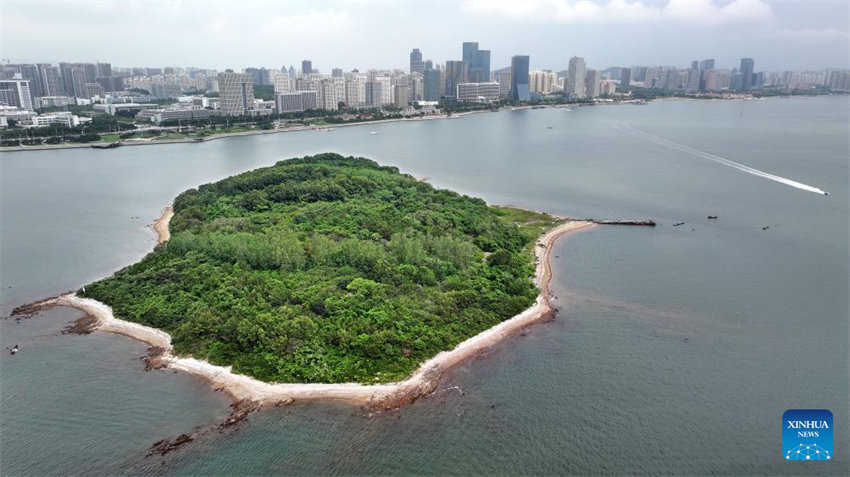 Shandong vê progresso na restaura??o ecológica marítima