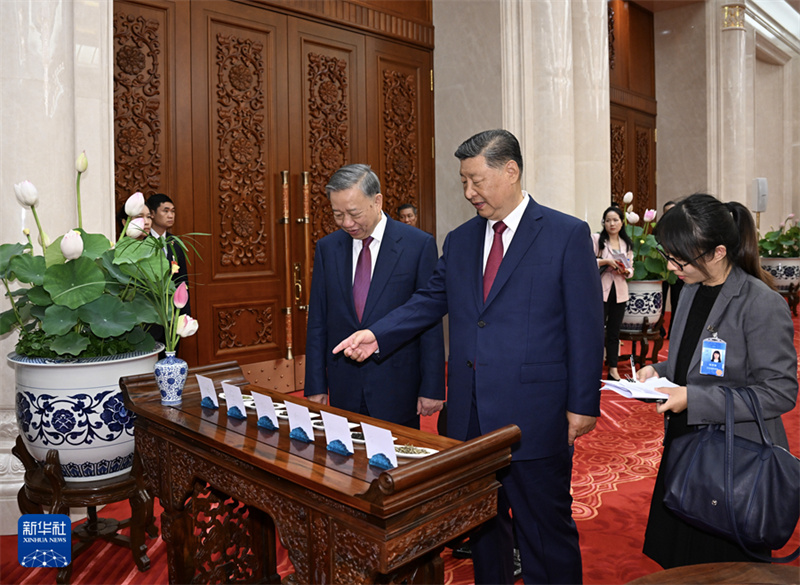 Xi Jinping conversa com o mais alto líder do Vietn?, To Lam, em Beijing