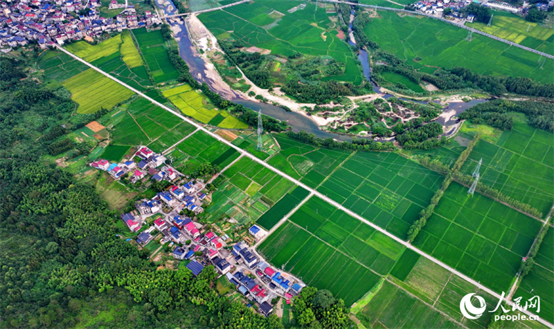 Galeria: beleza das aldeias do leste da China no início do outono