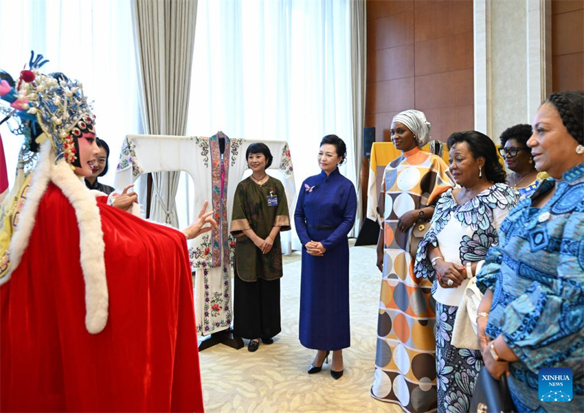 Peng Liyuan e c?njuges de líderes africanos participam de reuni?o sobre educa??o de mulheres