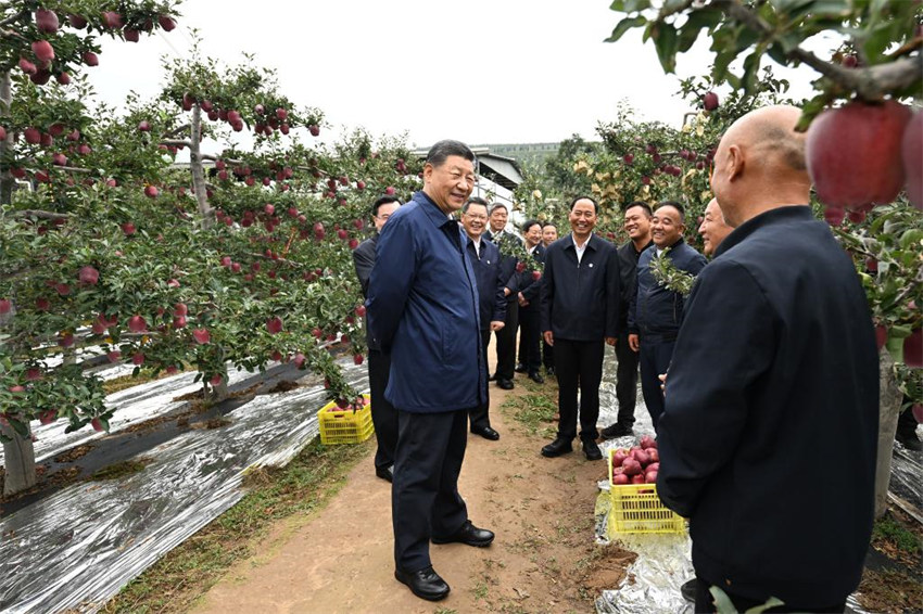Xi Jinping faz inspe??es nas províncias de Shaanxi e Gansu, no noroeste da China