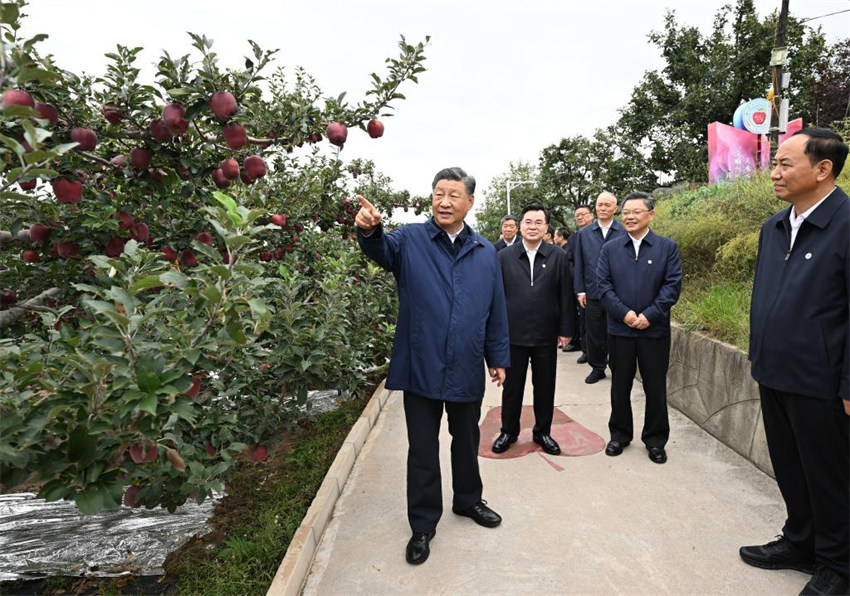 Xi Jinping faz inspe??es nas províncias de Shaanxi e Gansu, no noroeste da China