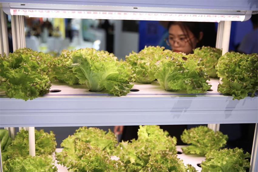 Tecnologias de ponta s?o apresentadas na CIFTIS 2024