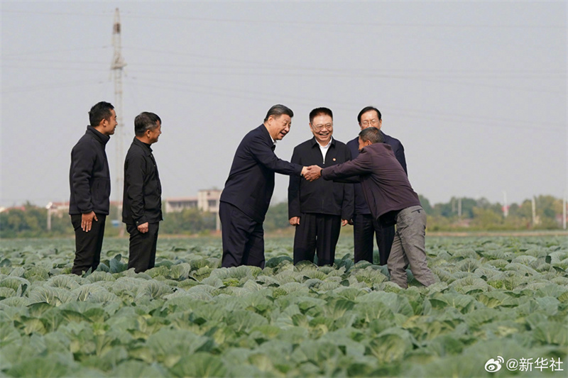Xi Jinping pede acelera??o da vitaliza??o rural