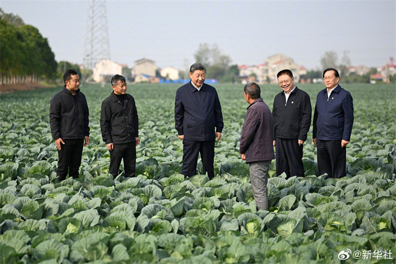 Xi Jinping pede acelera??o da vitaliza??o rural