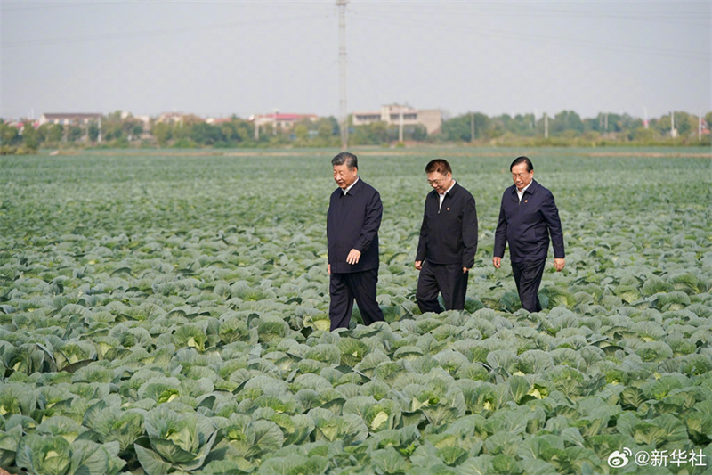 Xi Jinping pede acelera??o da vitaliza??o rural