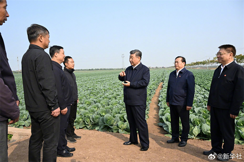 Xi Jinping pede acelera??o da vitaliza??o rural