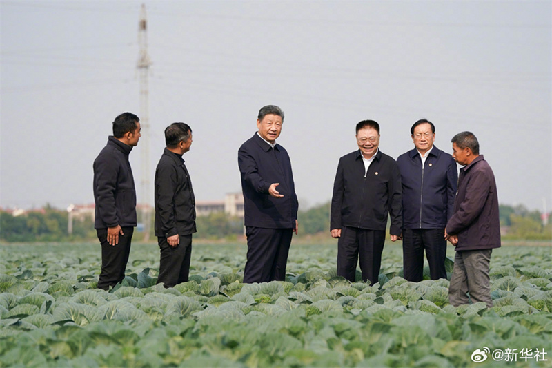 Xi Jinping pede acelera??o da vitaliza??o rural