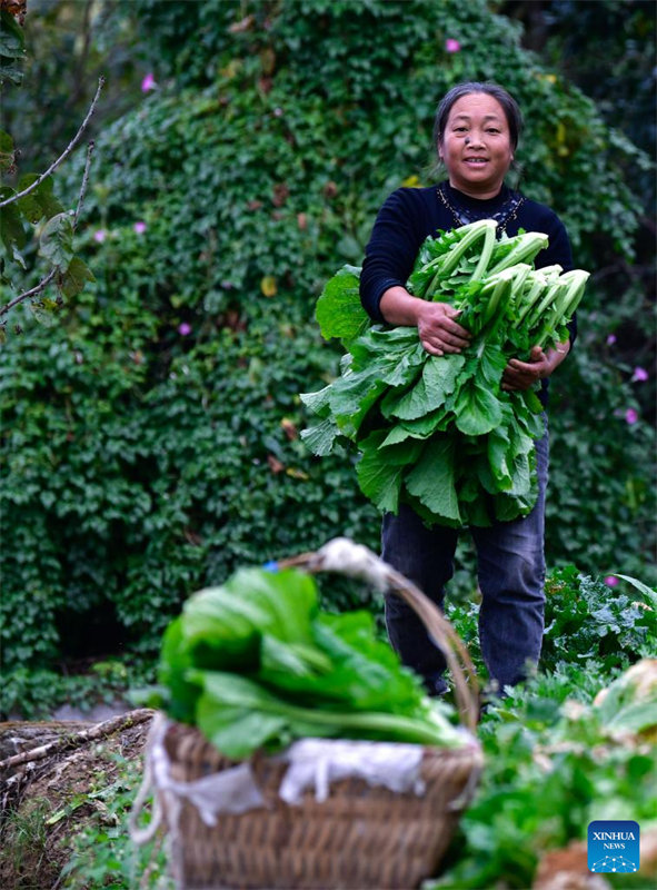 Linha especial de ?nibus ajuda moradores a vender produtos agrícolas em Guizhou