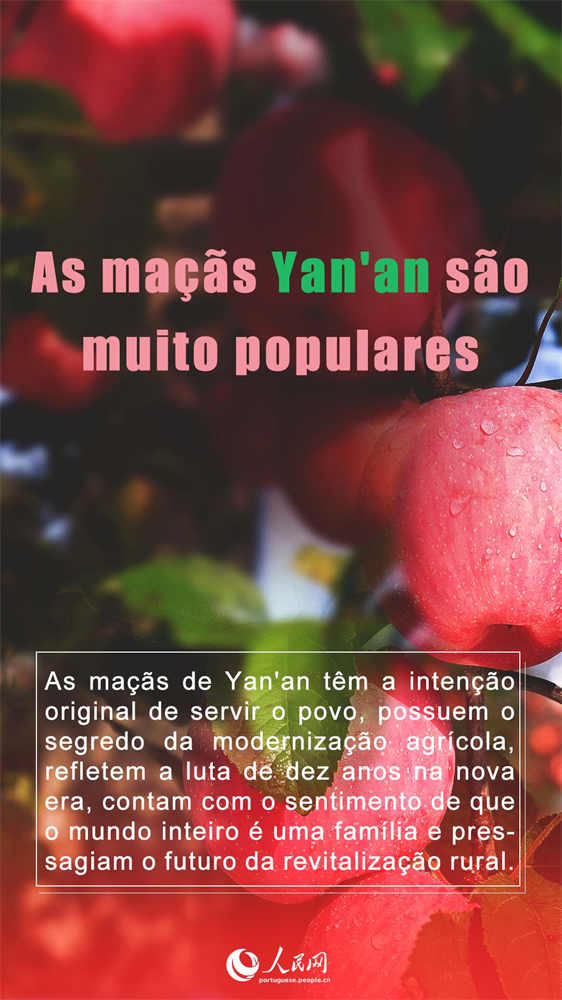 Porque se tornaram t?o populares as ma??s de Yan’an?
