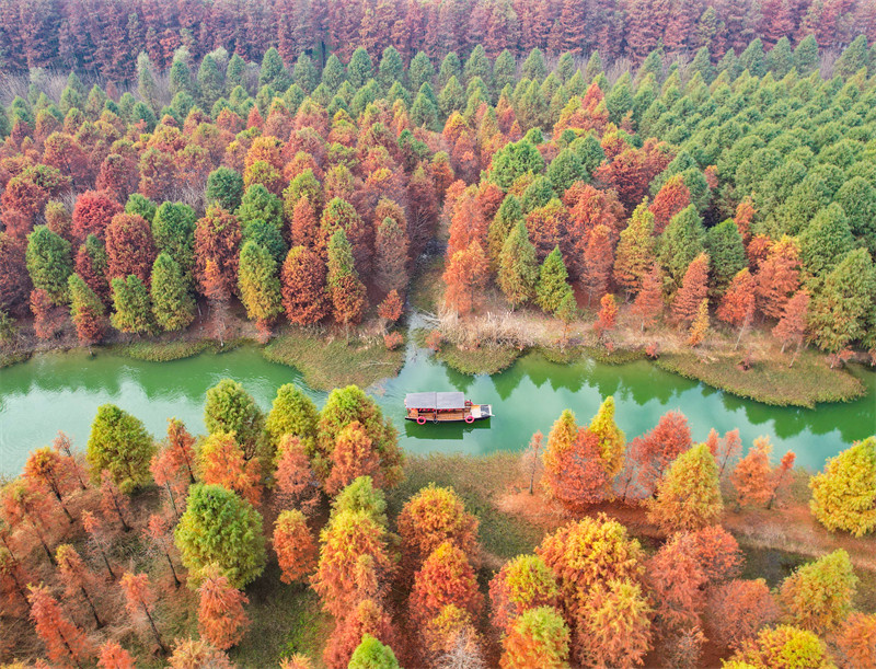 Suqian, leste da China, recorre a recursos ecológicos para apoiar revitaliza??o rural e turismo sustentável