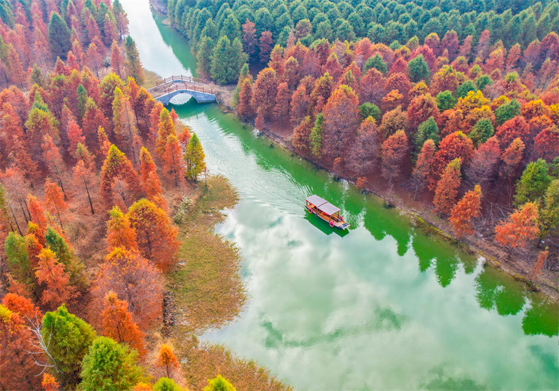 Suqian, leste da China, recorre a recursos ecológicos para apoiar revitaliza??o rural e turismo sustentável