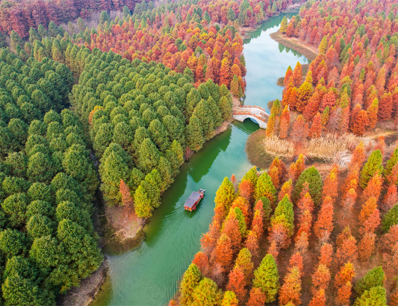 Suqian, leste da China, recorre a recursos ecológicos para apoiar revitaliza??o rural e turismo sustentável