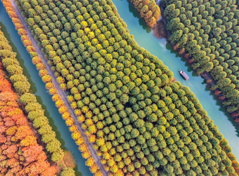 Suqian, leste da China, recorre a recursos ecológicos para apoiar revitaliza??o rural e turismo sustentável