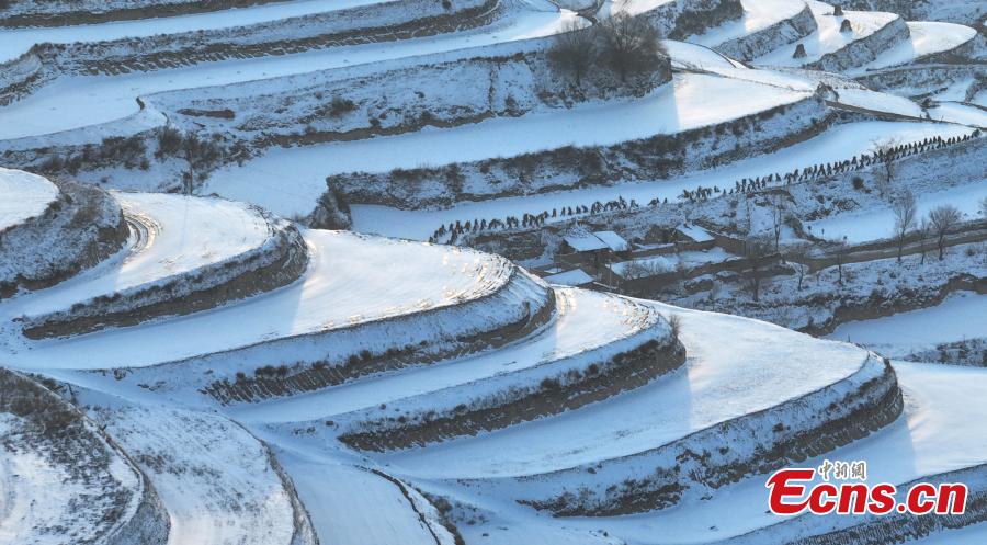Campos em terra?os cobertos de neve se assemelham às 