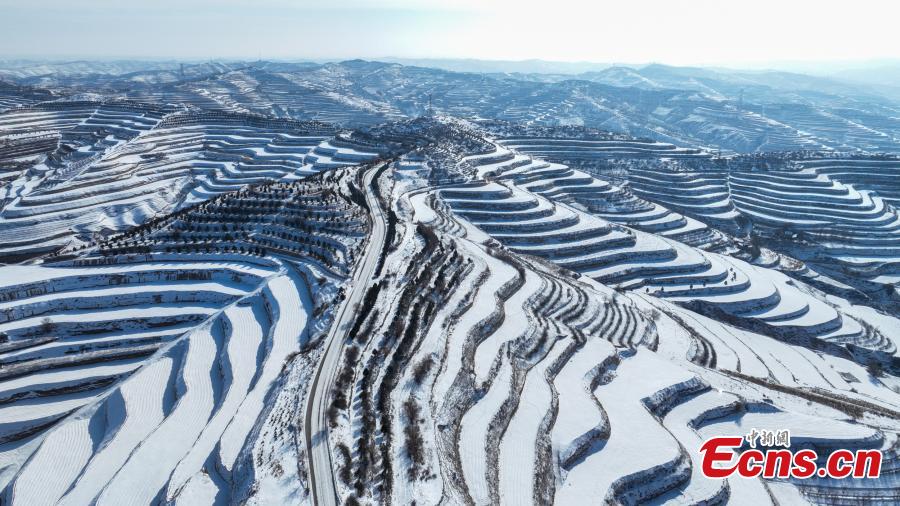 Campos em terra?os cobertos de neve se assemelham às 