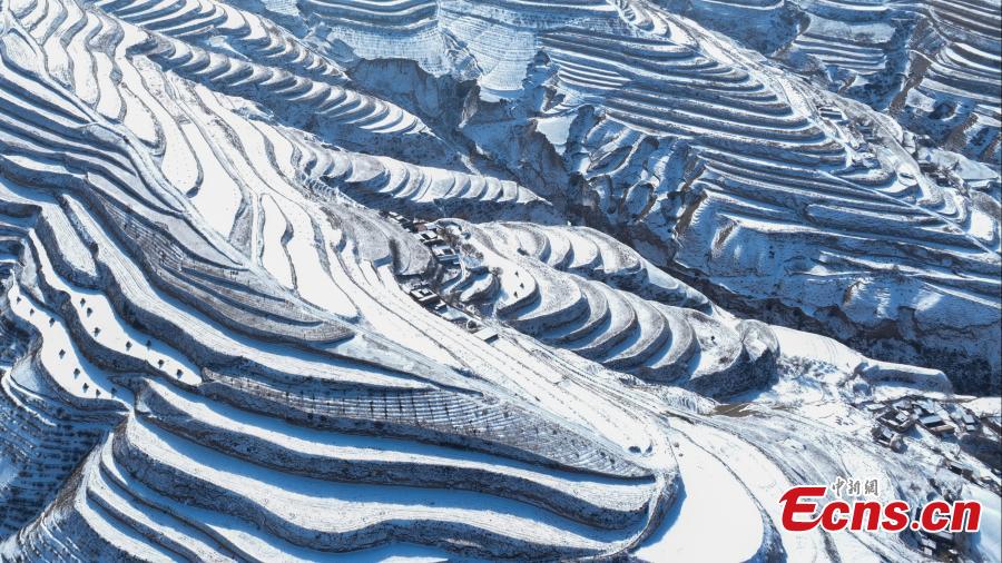 Campos em terra?os cobertos de neve se assemelham às 
