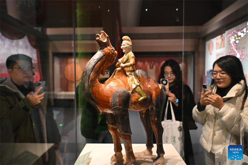 Exposi??o de relíquias culturais da dinastia Tang em Shaanxi é inaugurada em Tianjin