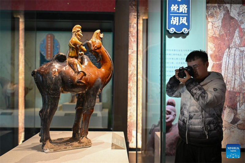 Exposi??o de relíquias culturais da dinastia Tang em Shaanxi é inaugurada em Tianjin