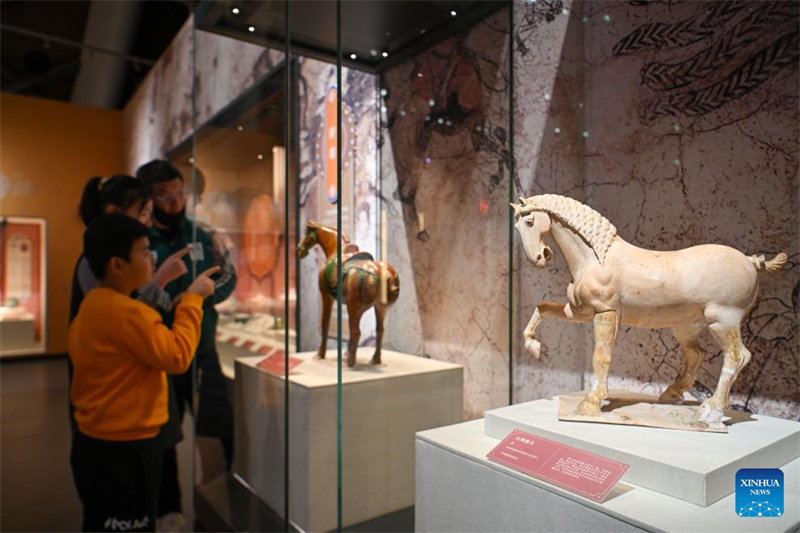 Exposi??o de relíquias culturais da dinastia Tang em Shaanxi é inaugurada em Tianjin