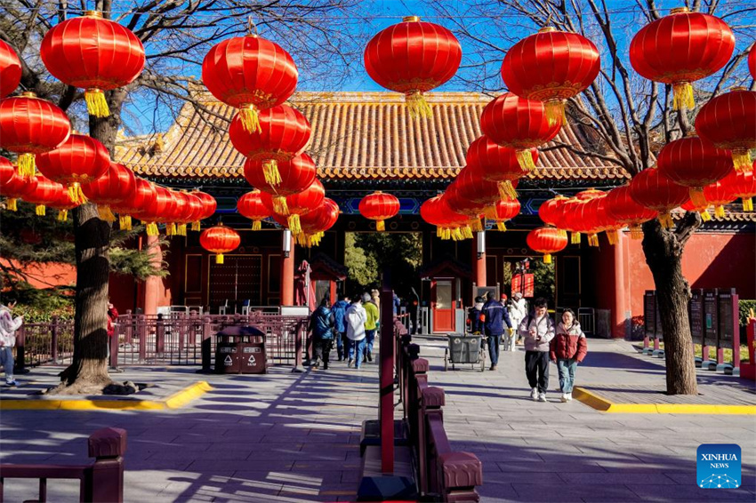 Lanternas e instala??es de luz s?o organizadas em toda a China para receber Festival da Primavera