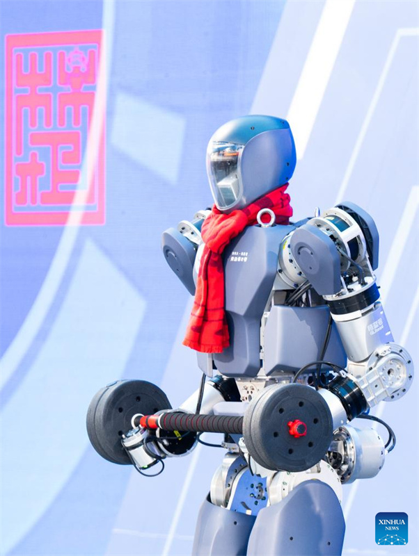 Rob?s humanóides da série 