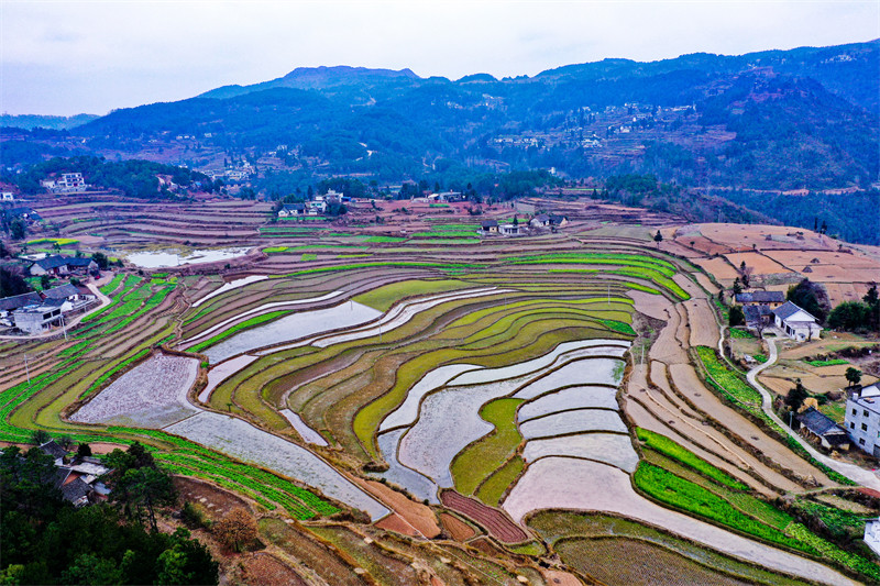 Galeria: regi?es agrícolas de guizhou acumulam água para a primavera, no sudoeste da China