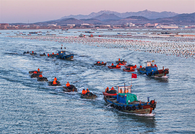 Aquicultura no leste da China registra níveis elevados de produ??o
