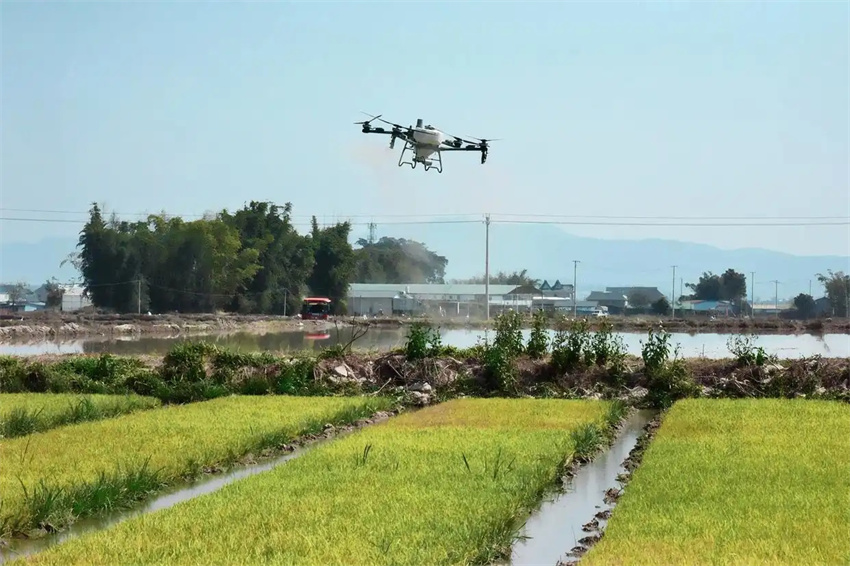 Esta??o agrícola da primavera avan?a em toda a China