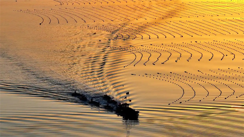 Esta??o agrícola da primavera avan?a em toda a China