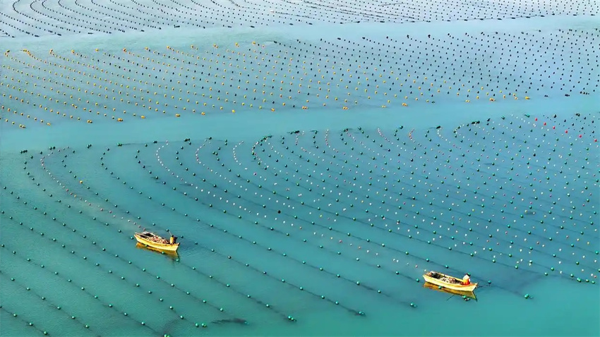 Esta??o agrícola da primavera avan?a em toda a China