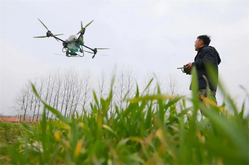 Esta??o agrícola da primavera avan?a em toda a China
