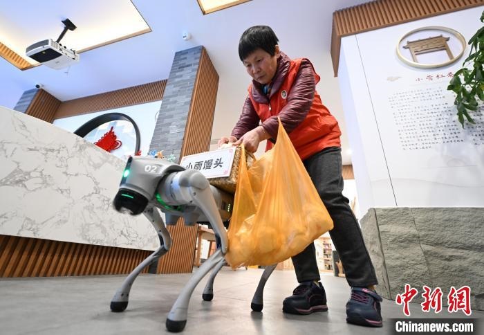 Hangzhou: c?o robótico inicia servi?o comunitário