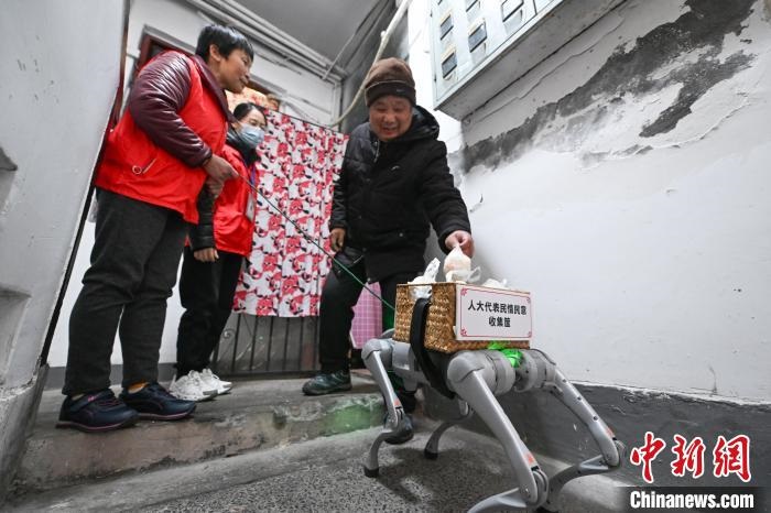 Hangzhou: c?o robótico inicia servi?o comunitário