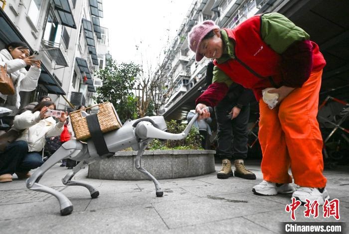 Hangzhou: c?o robótico inicia servi?o comunitário