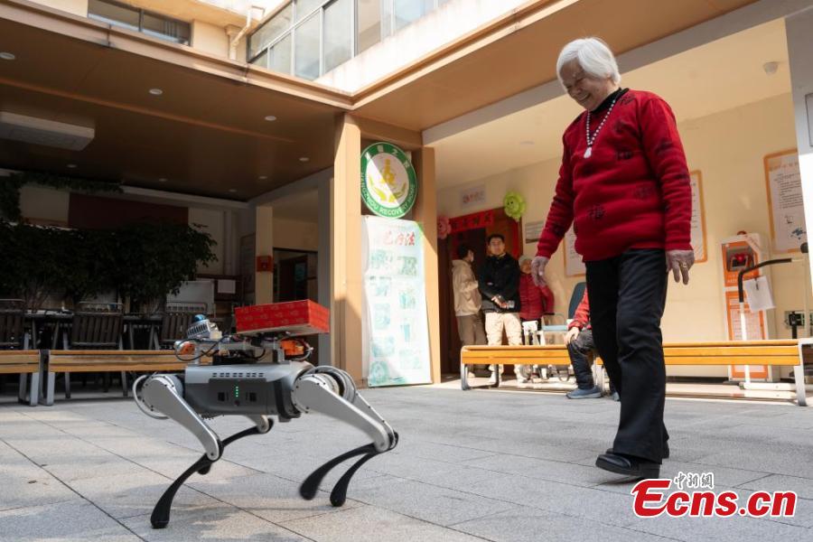 C?es-rob?s auxiliam em centro de cuidados para idosos em Hangzhou, leste da China