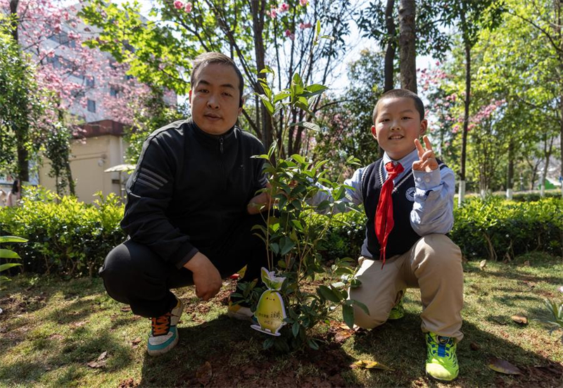 Kunming promove atividade de plantio antes do Dia Nacional da árvore