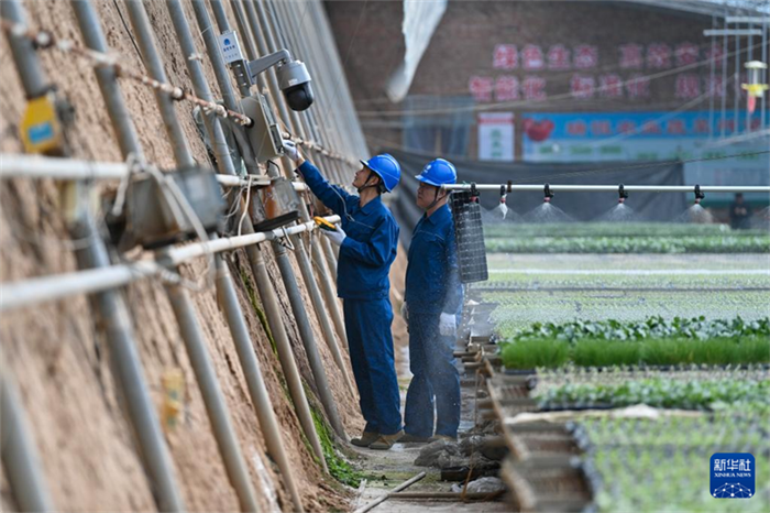 Agricultura inteligente ajuda a aumentar produ??o e renda em Shanxi, norte da China