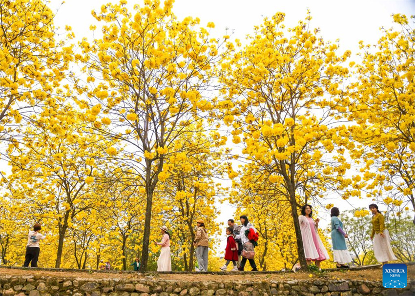 Chegada da primavera impulsiona turismo em toda a China