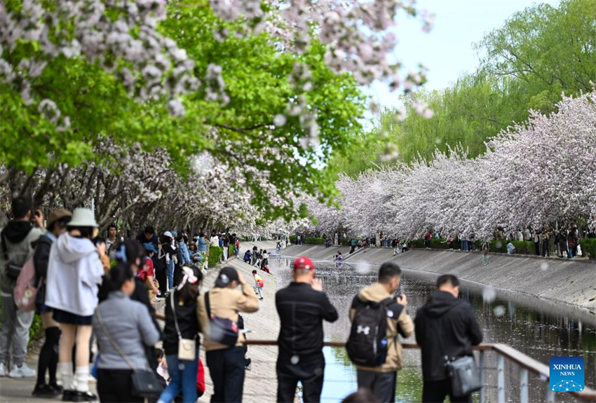 Chegada da primavera impulsiona turismo em toda a China