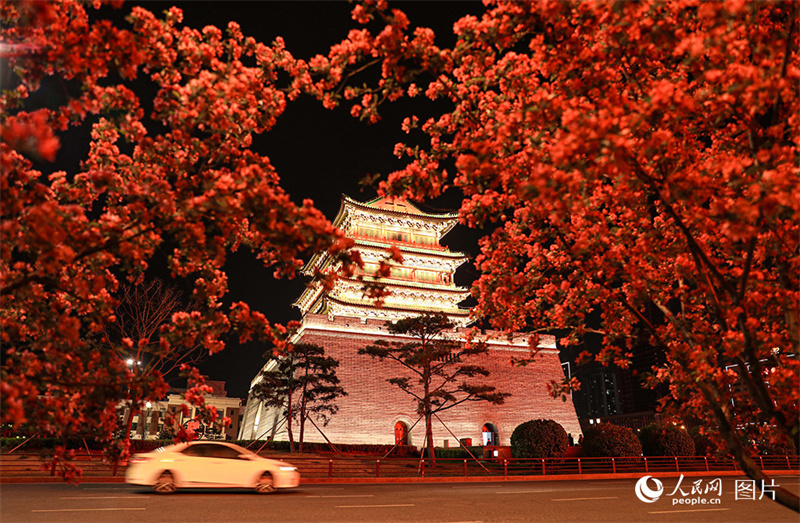 Visitantes apreciam desabrochar das flores em toda China