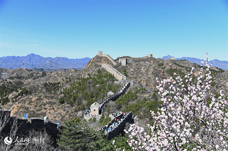 Visitantes apreciam desabrochar das flores em toda China
