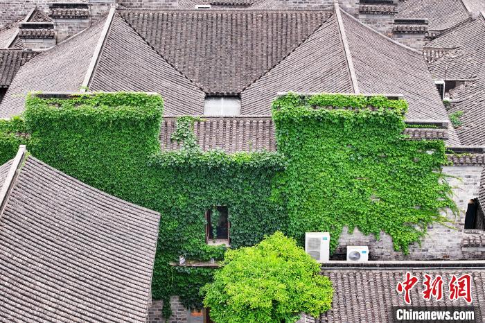 Prédios antigos em Nanjing est?o cobertos de verde