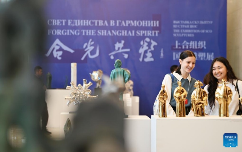 Diálogo Intercivilizacional entre Países da OCS 2025 é realizado em Tianjin