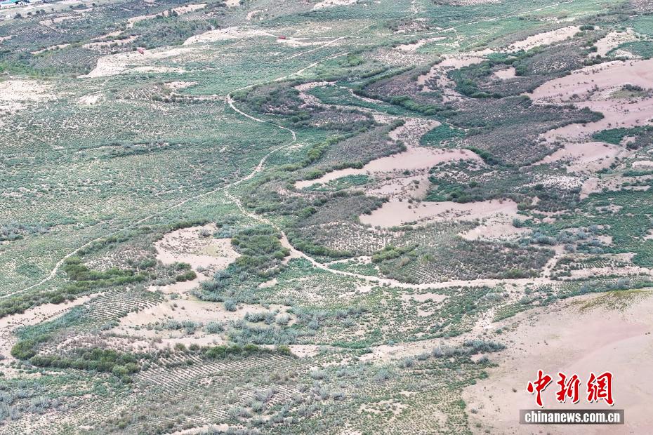 Shazhuyu: exemplo nacional na luta contra desertifica??o no noroeste da China