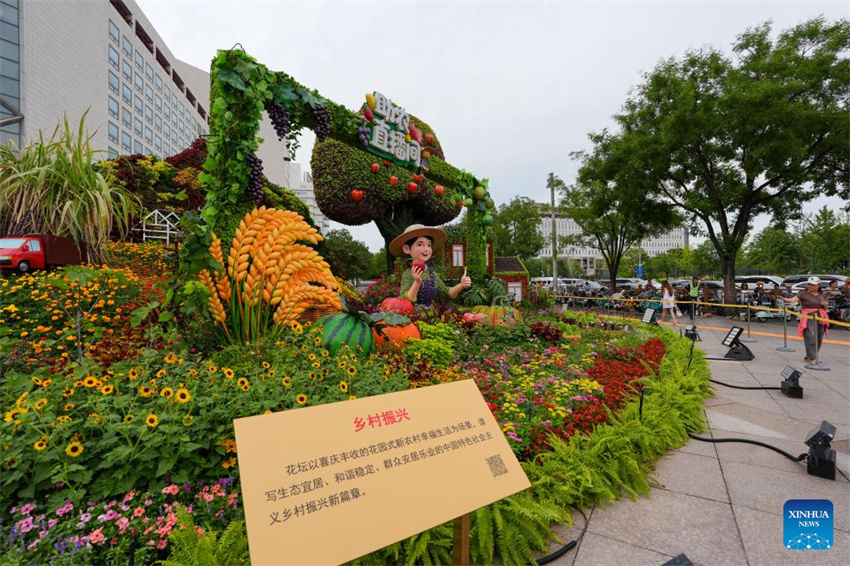 Exibi??es florais enfeitam Beijing antes do desfile do Dia da Vitória