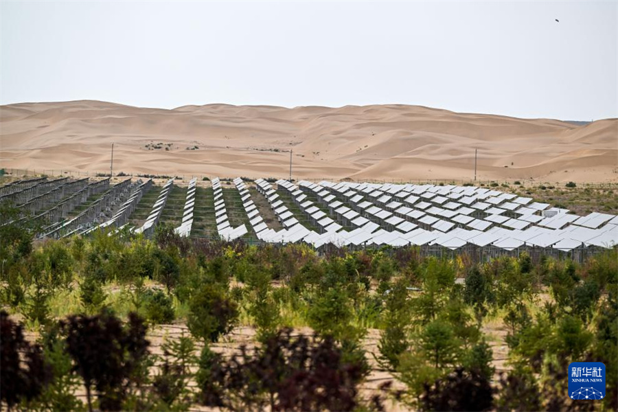 Mongólia Interior: o mar de areia se transforma em “mar azul” em Dalate