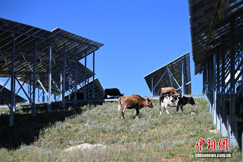 Base fotovoltaica a mais de 4.000 metros de altitude torna-se 