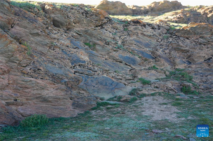 China descobre pedra gravada da dinastia Qin em altitude máxima no Planalto Qinghai-Tibete