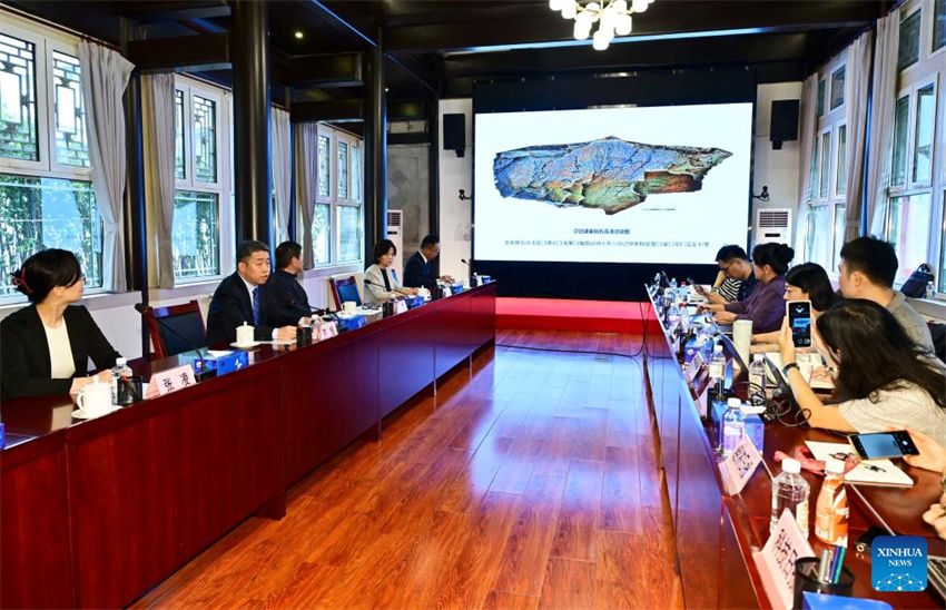 China descobre pedra gravada da dinastia Qin em altitude máxima no Planalto Qinghai-Tibete